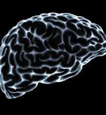 brain-black-9795513