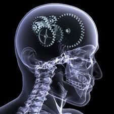 good-brain-3915004